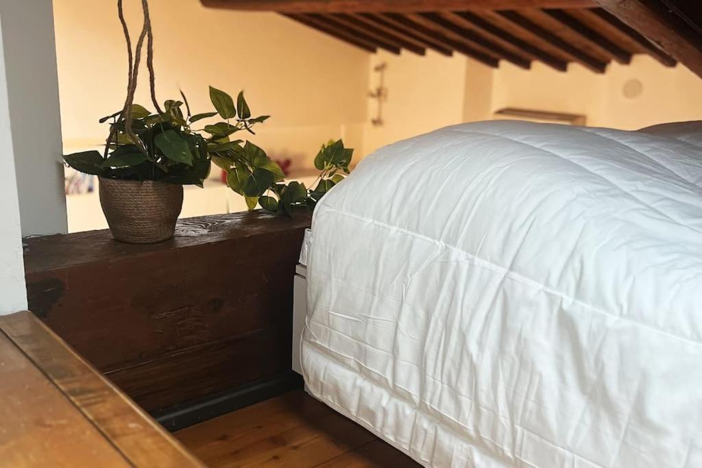 Romantic Apartment In Florence Luaran gambar